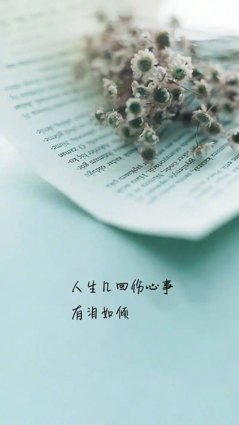 唯美意境文字语录图片手机壁纸