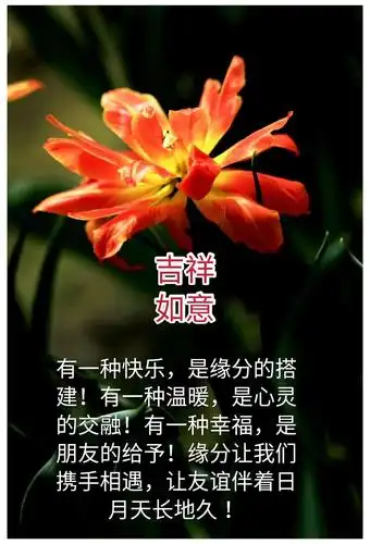 真诚的问候衷心的祝福(晨安帖集锦)