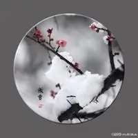 傲雪寒梅微信头像_微信头像图片大全