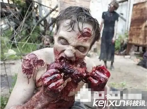 ks018.com,http://kb8889.com