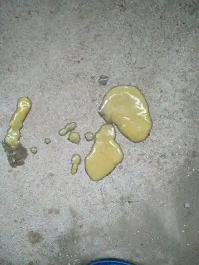 狗狗拉稀很严重,不过很会吃也很活泼是怎么回事