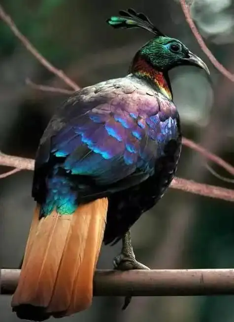 本站是提供个人知识管理的网络存储空间,所有内容均由用户发布,不代表