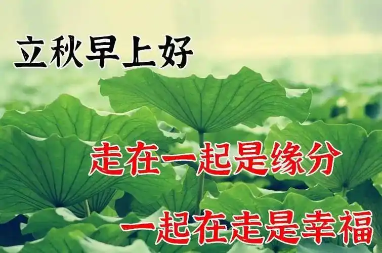 原创7张暖心阳光的立秋早安问候祝福语图片带字精选立秋早上好问候语
