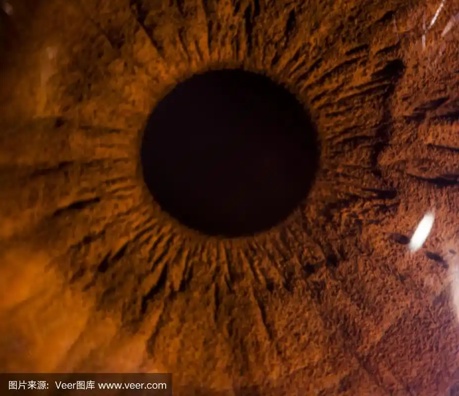 一个棕色眼睛的特写