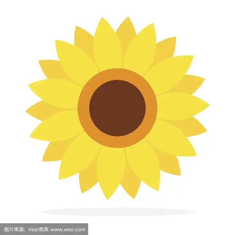 向日葵载体花扁平孤立