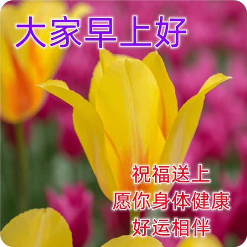 唯美早上好祝福图片问候语_朋友_好运_人生