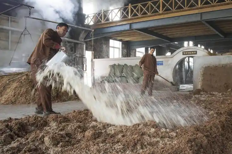 河南宝丰深秋时节酿酒忙