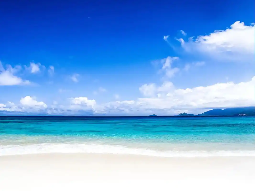 "夏日就这样被送走了"#创作灵感 #治愈系风景 #背景图壁纸 - 抖音