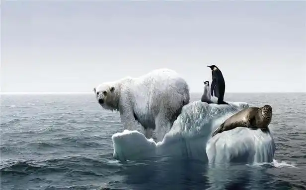 地球环境持续恶化,留给人类的时间还剩多少?能否"逆天改命"?