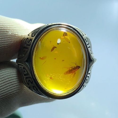 天然缅甸琥珀虫珀925银镶嵌蜡蝉苍蝇一珀二虫虫珀戒指男款
