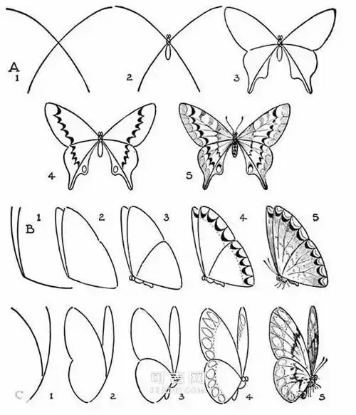 的简笔画法蝴蝶大全简笔画画蝴蝶的简笔画画法五彩斑斓的蝴蝶简笔画!
