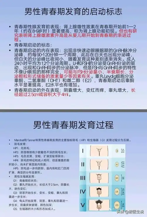 睾丸体积增大,最大径>2.5cm,体积>4ml;男孩