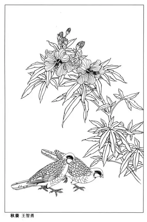 工笔线描资料第二集