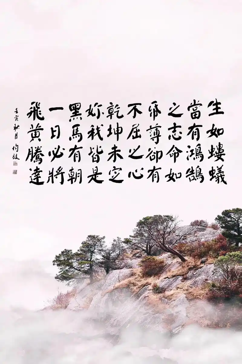 生如蝼蚁,当有鸿鹄之志.#书法 #书法作品欣赏 #励志正能量 - 抖音