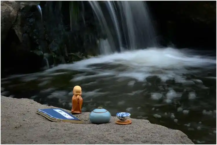 禅茶一味 修心悟境