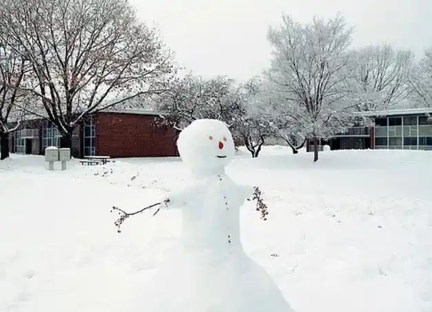 2008年东北肢体雪人案四具女性尸体被做成雪人案件至今未破