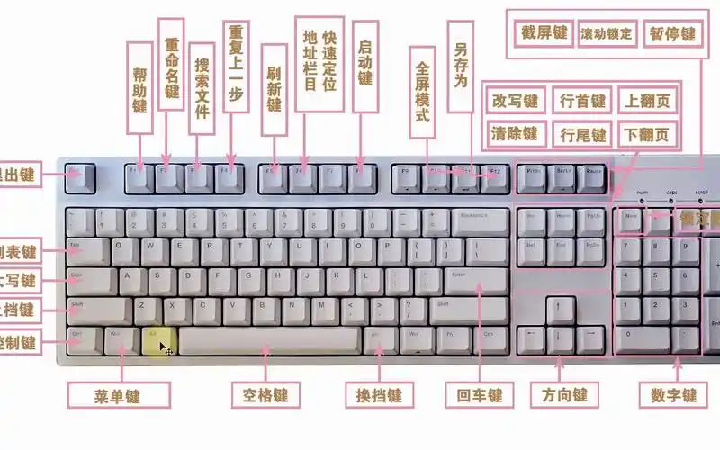 零基础学习电脑打字办公,第一课,认识键盘名称与功能