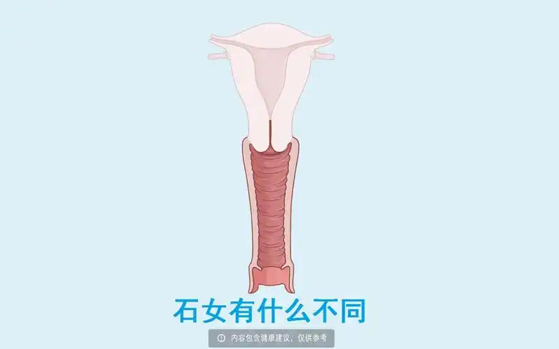 石女有什么不同?