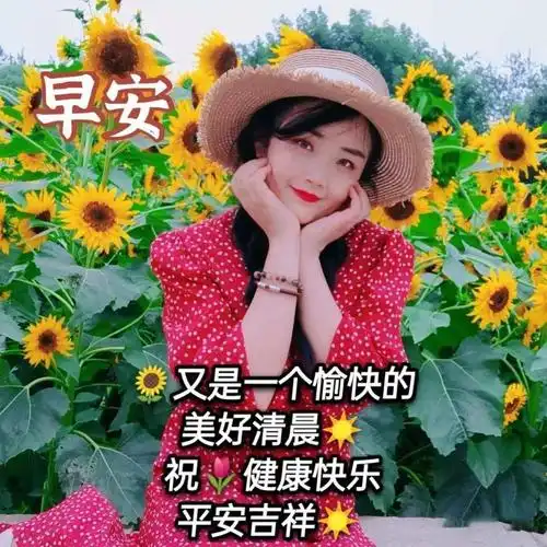 夏日温馨的大家早上好问候语图片精选_放平