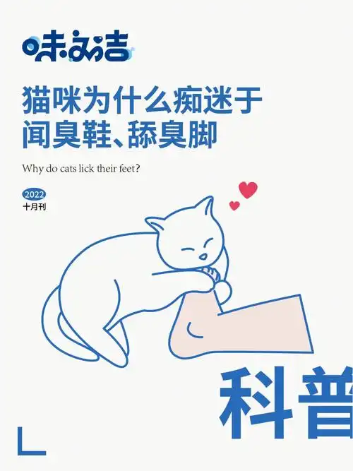 80的猫都喜欢闻臭脚63什么猫病