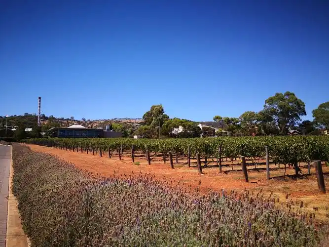 澳洲最大的酒庄一一奔富酒庄(penfolds winery)