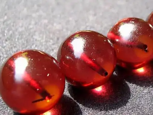 真假血珀对照图解(附鉴别方法)?