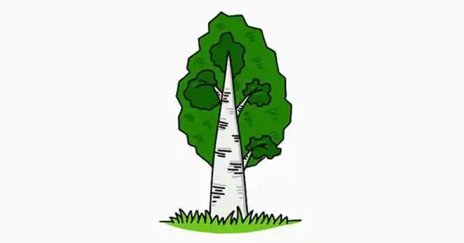 树木杨树简笔画怎么画杨树卡通画儿童画画法 杨树的画法