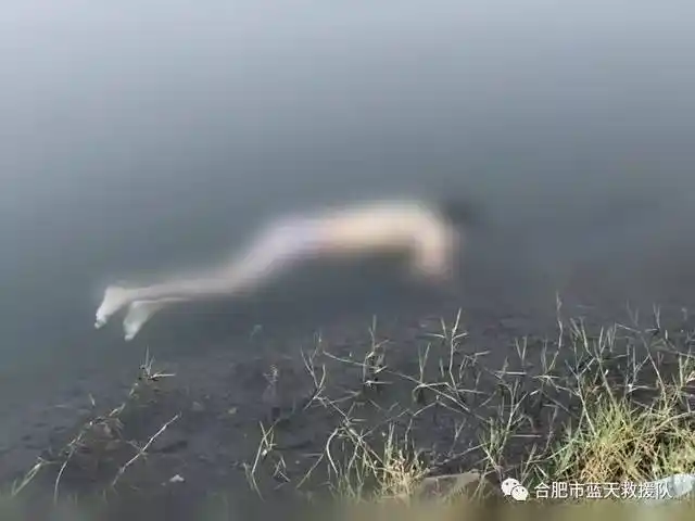 该凋谢的花季—合肥市蓝天救援队在离合肥150公里处水域搜寻溺水少年