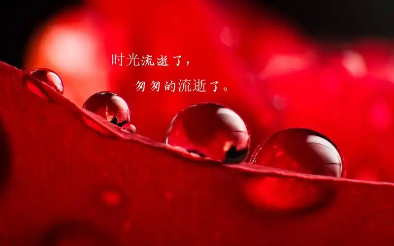 时光流逝的唯美说说配图