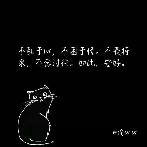 堆糖,美好生活研究所