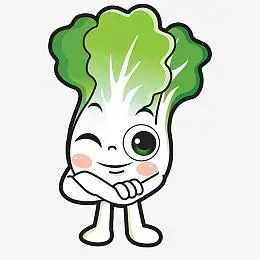蔬菜大白菜