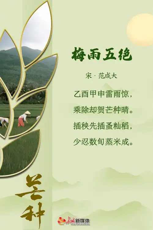 芒种61诗节 | 风吹麦成浪 蝉鸣夏始忙
