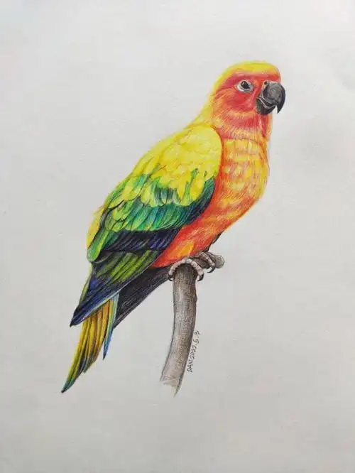 彩铅临摹  原作#建筑工程师画彩铅辉柏嘉水溶性彩铅72色   厚素弥纸