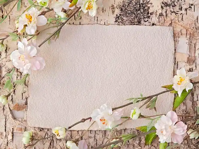 樱花,留白,留言,木质背景_高清图片_全景视觉