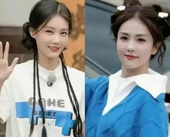 李一桐白鹿:明明长着一张脸,一个成顶流,一个却不温不火