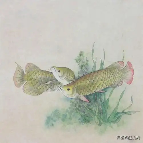 工笔鱼作品的创作过程,超详细,学习了