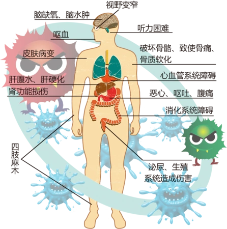 重金属与农药残留超标对人体的危害