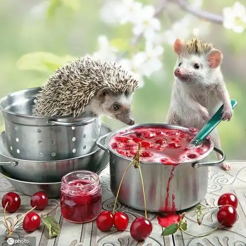 呆萌小刺猬趣味生活,"乱入厨房"泡咖啡榨柠檬汁