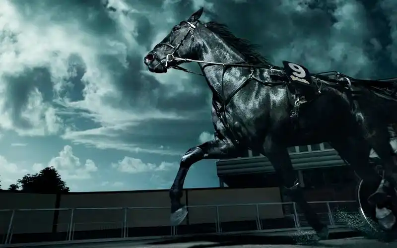 奔跑的黑马图片1440x900分辨率查看