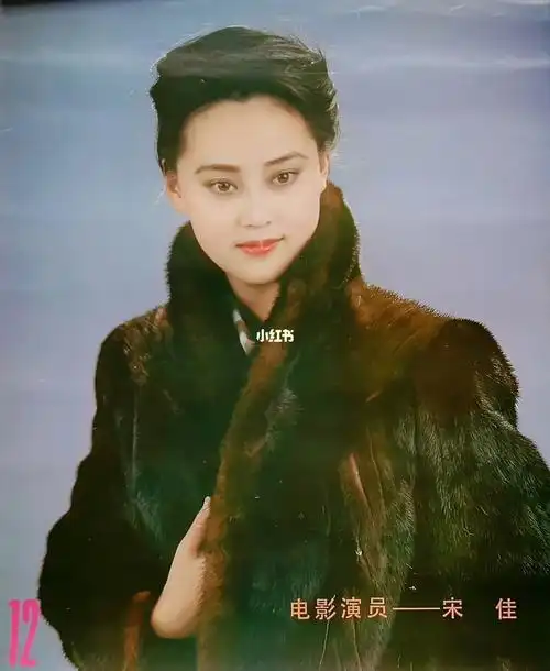 80年代的大宋佳