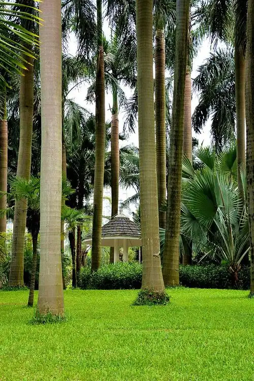 广州珠江公园景色美