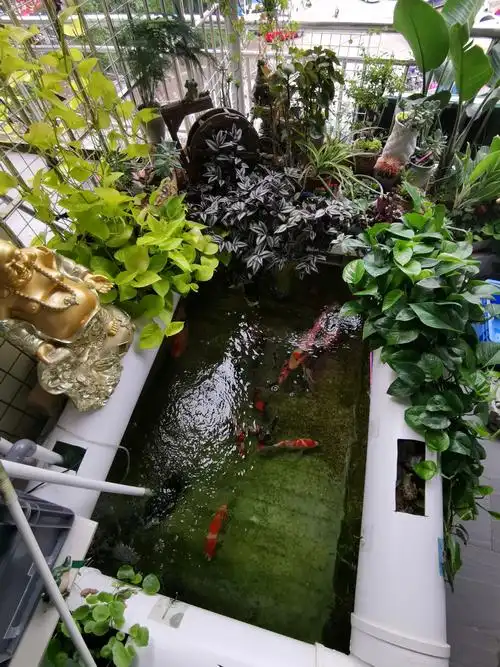 庭院下符合审美的鱼池设计