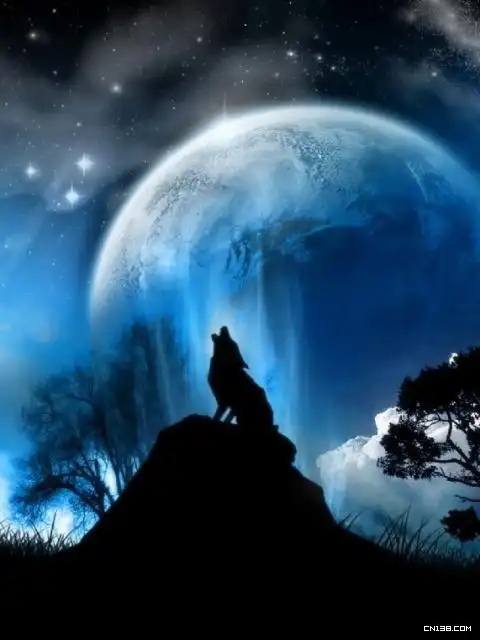 求图片狼的就是那种在满月的时候在山顶嚎叫的越多越好尽量透着凄清