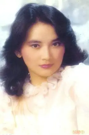 17电影电视剧18集全风水二十年18集全猎魔群英18集全小偷阿星粤语18