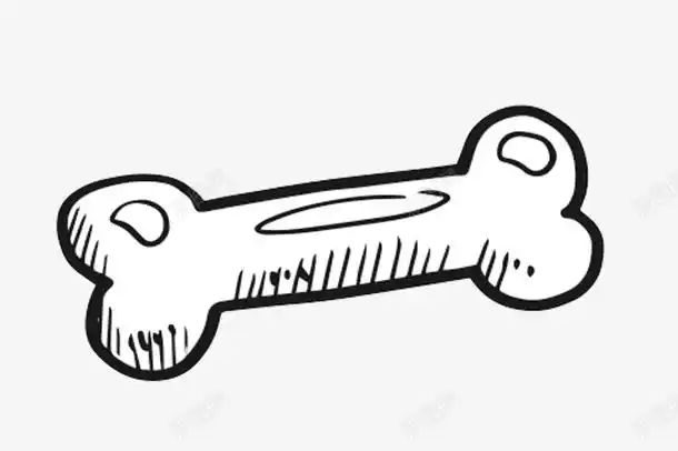 简笔画单色骨头图标