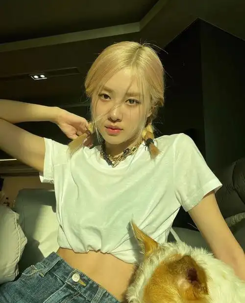 blackpinkroseinsupdate