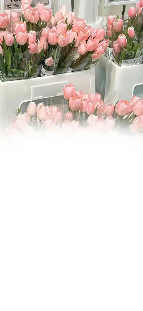 #朋友圈背景图##朋友圈文案##锁屏壁纸#