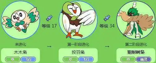 木木枭怎么简笔画视频6款啄木鸟简笔画图片大全简笔画力壮鸡神奇宝贝