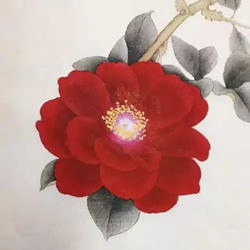 国画教程一朵玫瑰花的工笔写生步骤