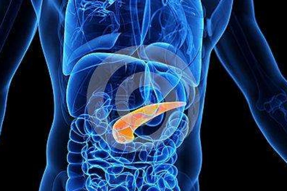 9,胰腺:暴饮暴食胰腺炎高发